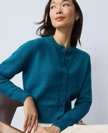 Ann Taylor Sweaters|All Sweaters|Cozy Crew Neck Cardigan Pacific Shore