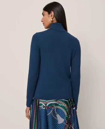 Ann Taylor Sweaters|All Sweaters|Essential Turtleneck Sweater Moonlit Backdrop