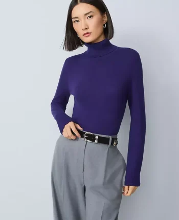 Ann Taylor Sweaters|All Sweaters|Essential Turtleneck Sweater Midnight Mulberry