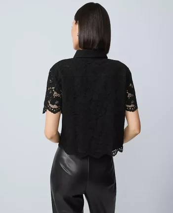 Ann Taylor Tops And Blouses|Lace Modern Blouse Black