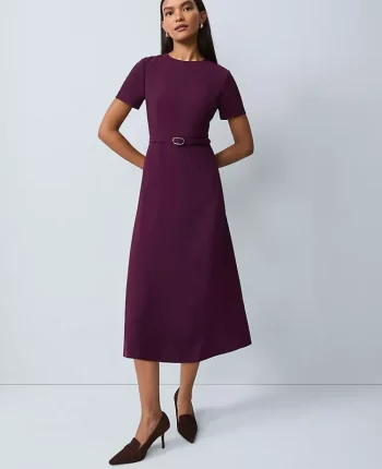 Ann Taylor Suits|Suits|Petite Belted Crew Neck Midi Dress Winter Bloom