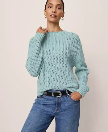 Ann Taylor Sweaters|All Sweaters|Petite Pointelle Mock Neck Sweater Lakeside View