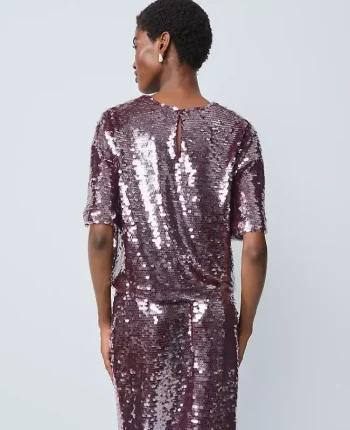 Ann Taylor Tops And Blouses|Petite Sequin Crew Neck Blouse Frosted Burgundy