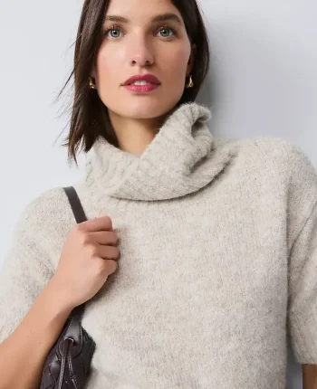 Ann Taylor Petite Sweaters|Petite Turtleneck Elbow Sleeve Sweater Tee Neutral