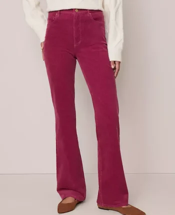 Ann Taylor Petite Pants|Petite Weekend|Petite Weekend Collection Boot Corduroy Pant Strawberry Shortcake
