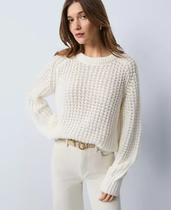 Ann Taylor Petite Sweaters|Petite Weekend|Petite Weekend Collection Cozy Crew Neck Sweater Winter White
