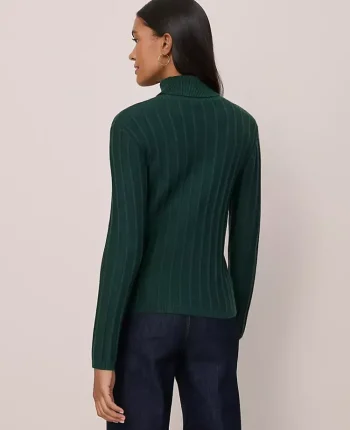 Ann Taylor Sweaters|All Sweaters|Ribbed Turtleneck Sweater Pine Grove