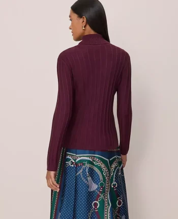 Ann Taylor Sweaters|All Sweaters|Ribbed Turtleneck Sweater Poised Plum