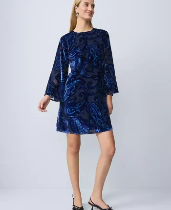 Ann Taylor Dresses|Studio Collection Velvet Paisley Shift Dress Night Sky