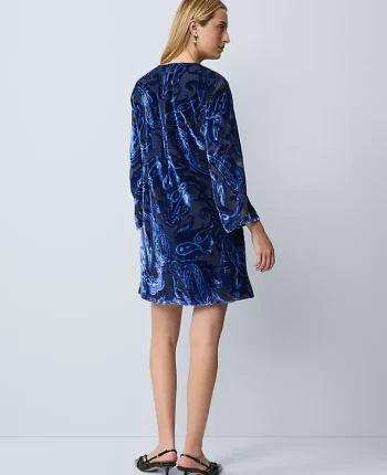 Ann Taylor Dresses|Studio Collection Velvet Paisley Shift Dress Night Sky
