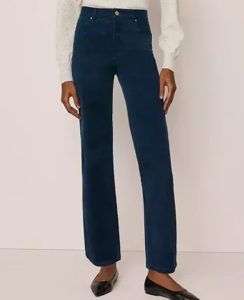 Ann Taylor Pants|The High Rise Corduroy Pant Moonlit Backdrop