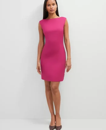 Ann Taylor Suits|Suits|The Petite Cap Sleeve Shift Dress Berry Splash