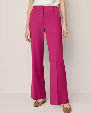 Ann Taylor Pants|Petite Pants|The Petite Jayne Trouser Berry Splash
