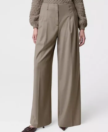 Ann Taylor Petite Pants|Petite Pants|The Petite Pleated Wide-Leg Pant Dried Moss