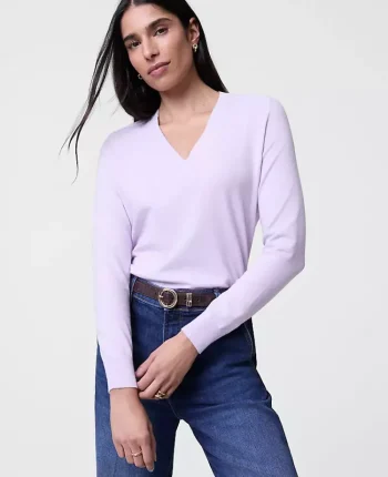 Ann Taylor Sweaters|All Sweaters|V-Neck Sweater Sunrise Lavender
