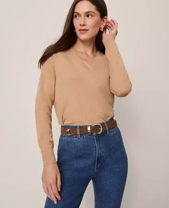 Ann Taylor Sweaters|All Sweaters|V-Neck Sweater Cafe Au Lait