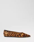 Ann Taylor Weekend Shoes|Weekend Shoes|Weekend Collection Animal Print Haircalf Pointy Toe Ballet Flat Brown Multi