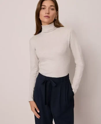 Ann Taylor Tops And Blouses|Weekend Tops|Weekend Collection Turtleneck Top Pale Sand Heather
