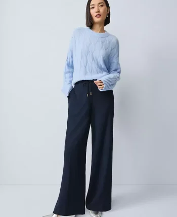 Ann Taylor Pants|Wide Leg Jogger Pant Night Sky